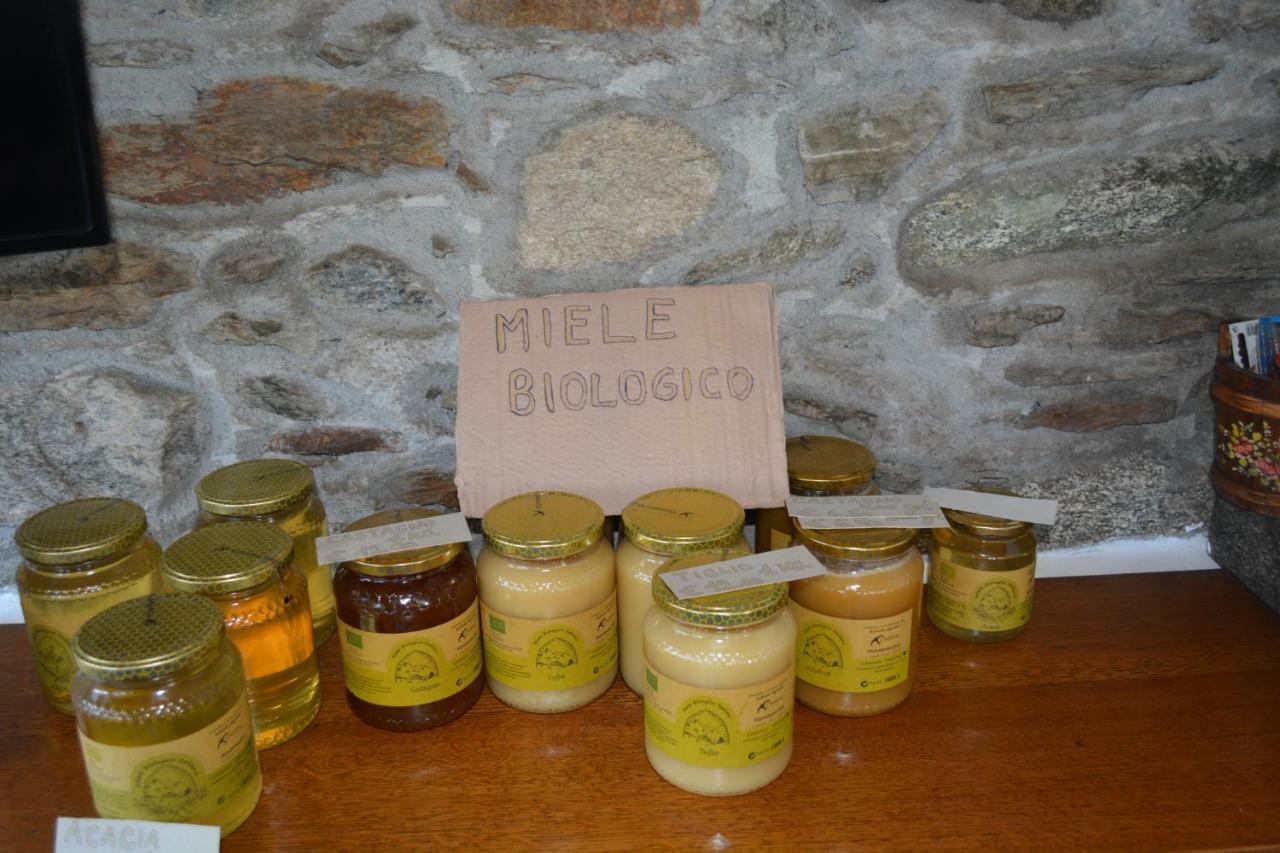 Apartmentslagodicomo Acquaseria Zewnętrze zdjęcie
